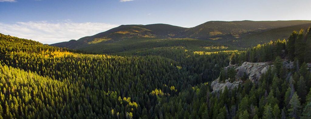 Aerial view of the pine-forested hills and granite outcrops around Maxwell Falls, with early autumn aspens turning gold
