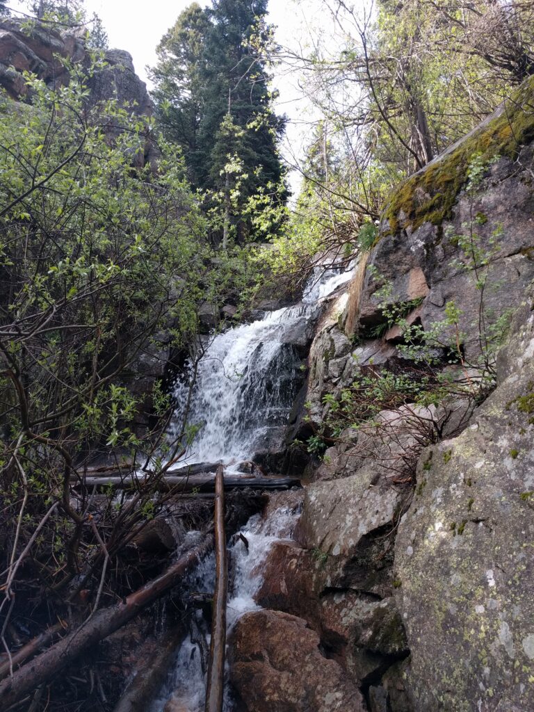 Maxwell Falls in spring runoff, white water cascading over tiered granite ledges among fresh green willows