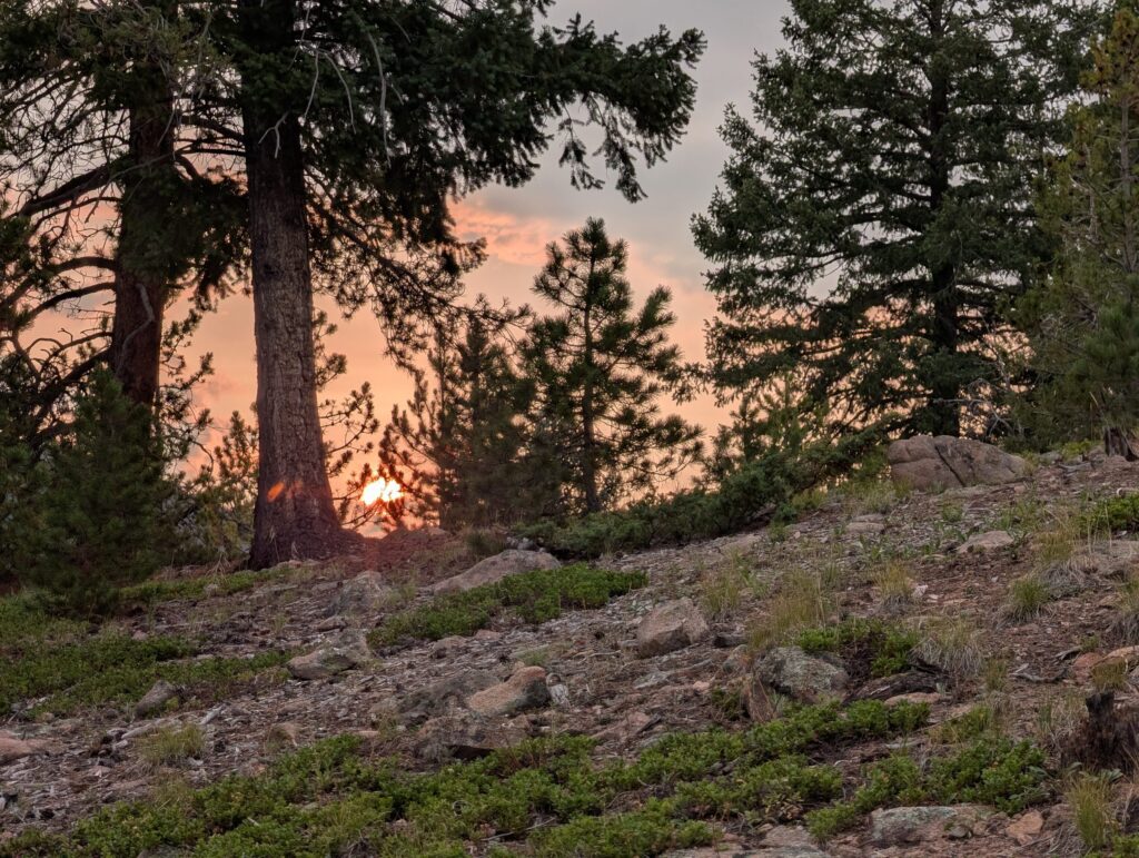 A red sun setting through wildfire smoke behind ponderosa pines on a rocky slope.