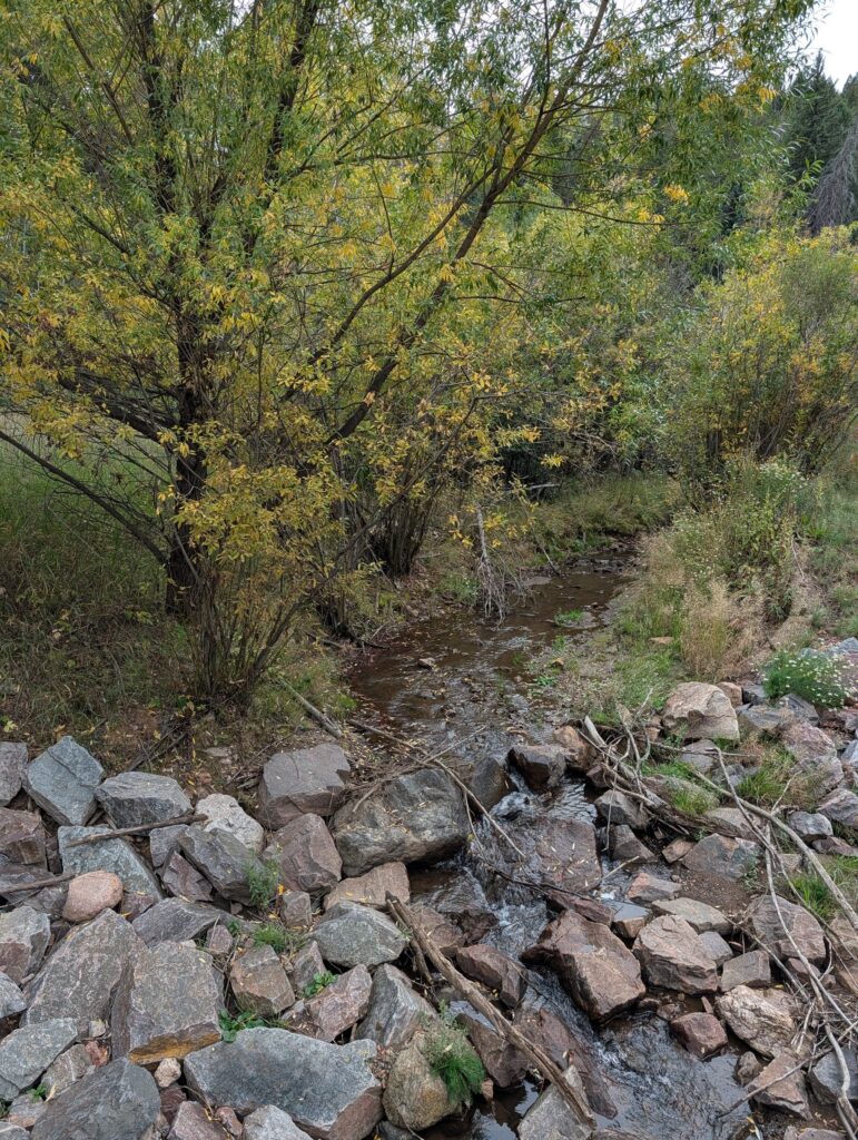 Maxwell Creek running over rocks beneath autumn willows and aspens where it passes under Brook Forest Road.