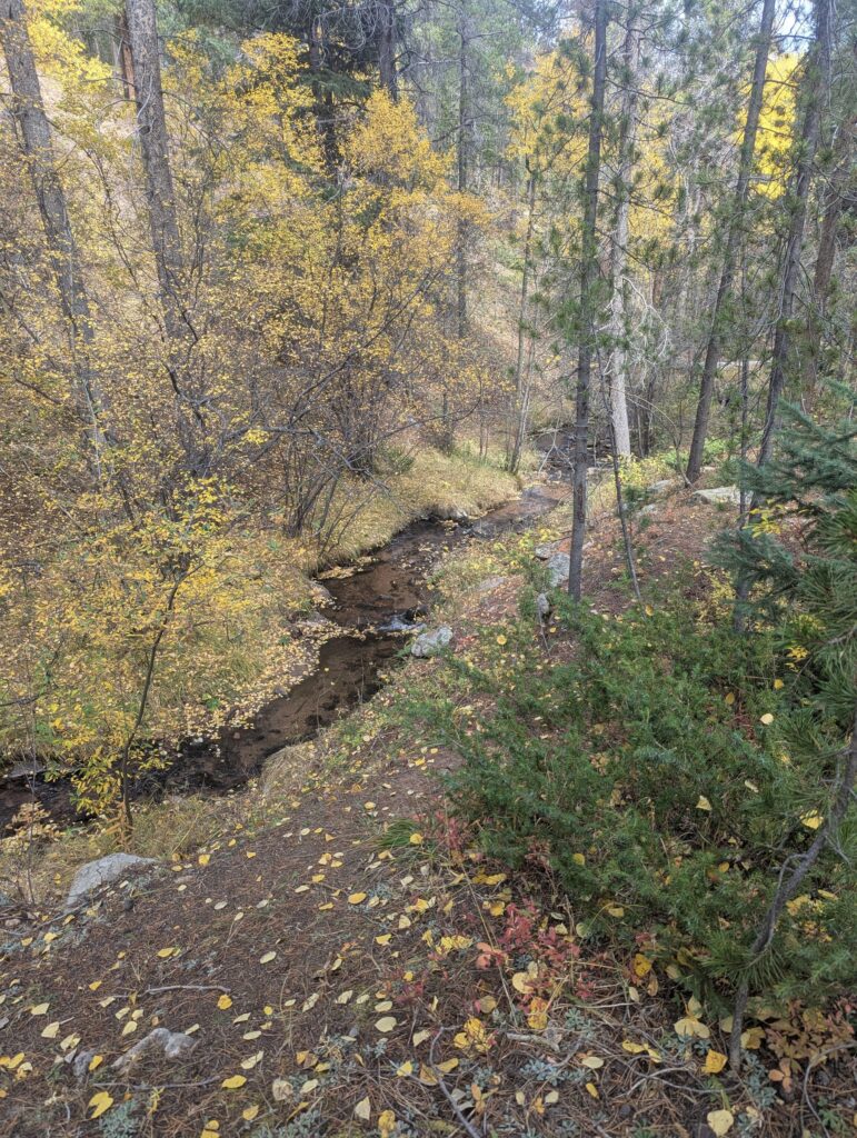 A creek running through a narrow valley of yellow aspen and willow leaves.