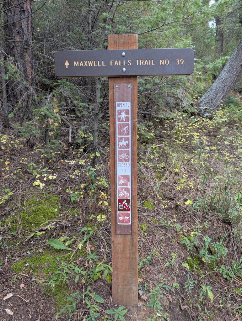 A brown Forest Service trail post reading Maxwell Falls Trail No. 39 with allowed-use symbols, beside a trail into the forest.