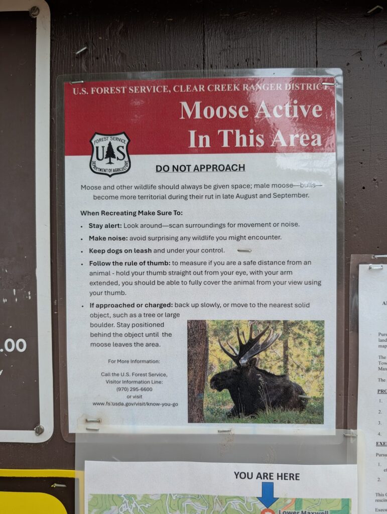 A Forest Service notice headed Moose Active In This Area, Do Not Approach, with safety tips and a photo of a bull moose.
